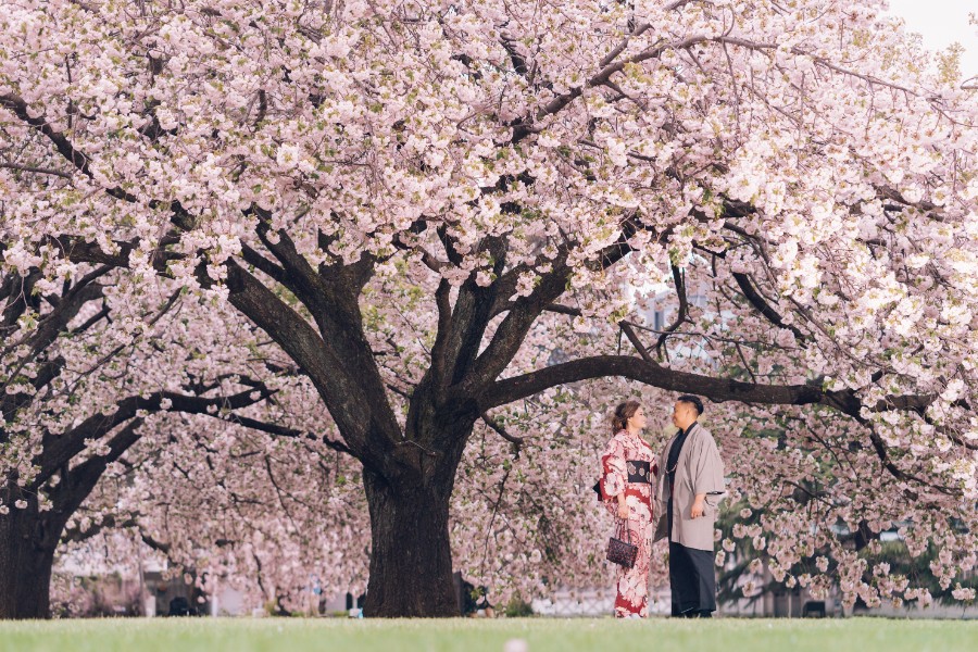 J: Massive cherry blossoms in Tokyo during Malay couple’s pre-wedding by Lenham on OneThreeOneFour 0