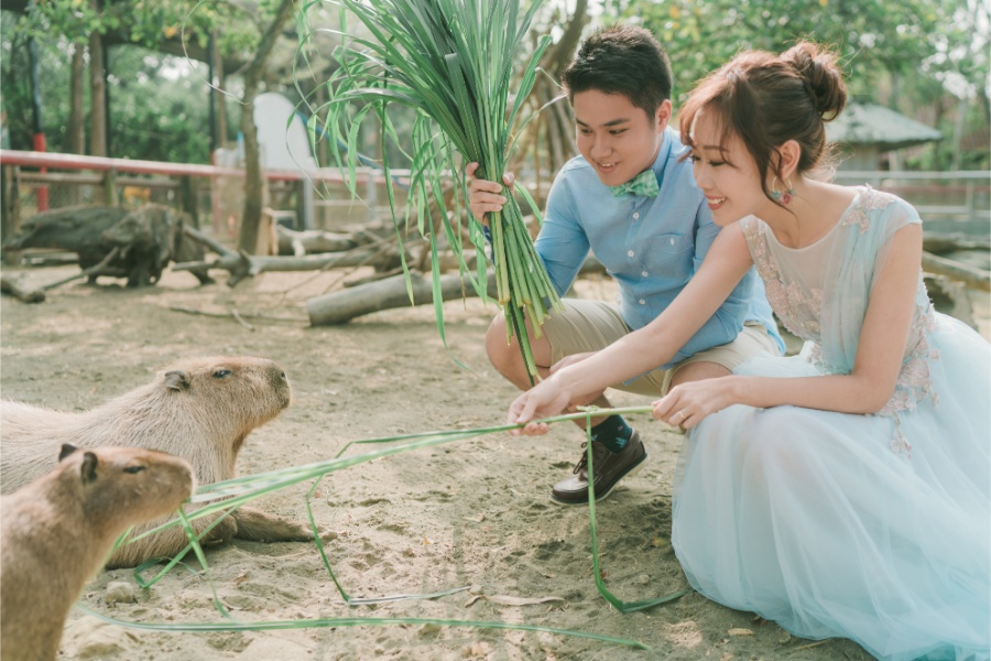 Taiwan Cheng Xi Beach and Tainan Zoo Prewedding Photoshoot by Star on OneThreeOneFour 0