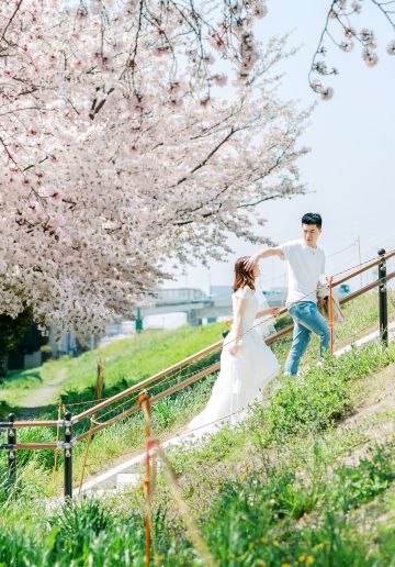 Tokyo Sakura Pre-wedding and Kimono Photoshoot 