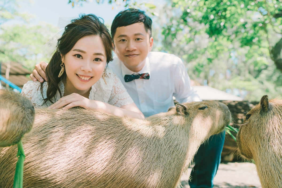 Taiwan Pre-Wedding Photoshoot Zoo Lush Greenery Beach by  on OneThreeOneFour 4