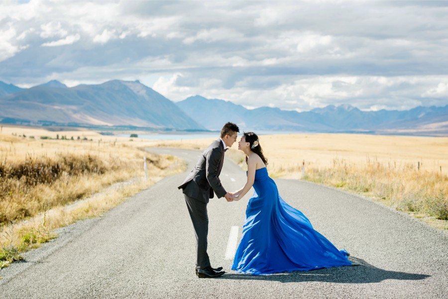 New Zealand Starry Night Prewedding Photoshoot with Alpaca Farm  by Mike on OneThreeOneFour 9