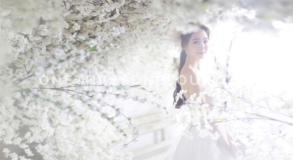 M Company - Korean Studio Pre-Wedding Photography: Cherry Blossom by M Company on OneThreeOneFour 1
