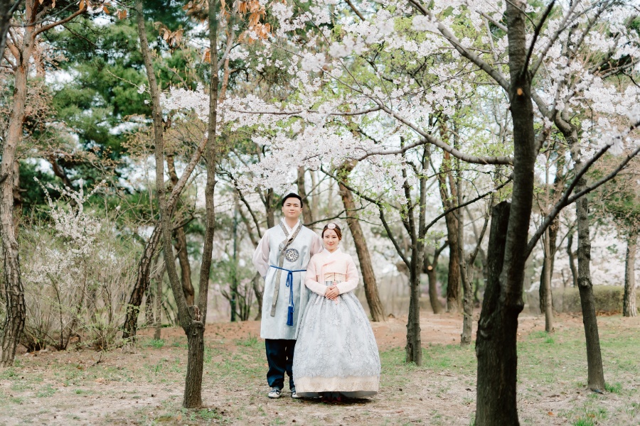 C&J: Korea Spring Pre-wedding Photoshoot with Hanbok at Namsangol Hanok Village and Nami Island by Jungyeol on OneThreeOneFour 0