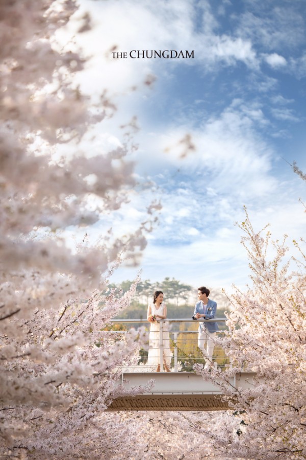 Chungdam Studio Cherry Blossoms Sample - Korean Pre-Wedding Studio by Chungdam Studio on OneThreeOneFour 3