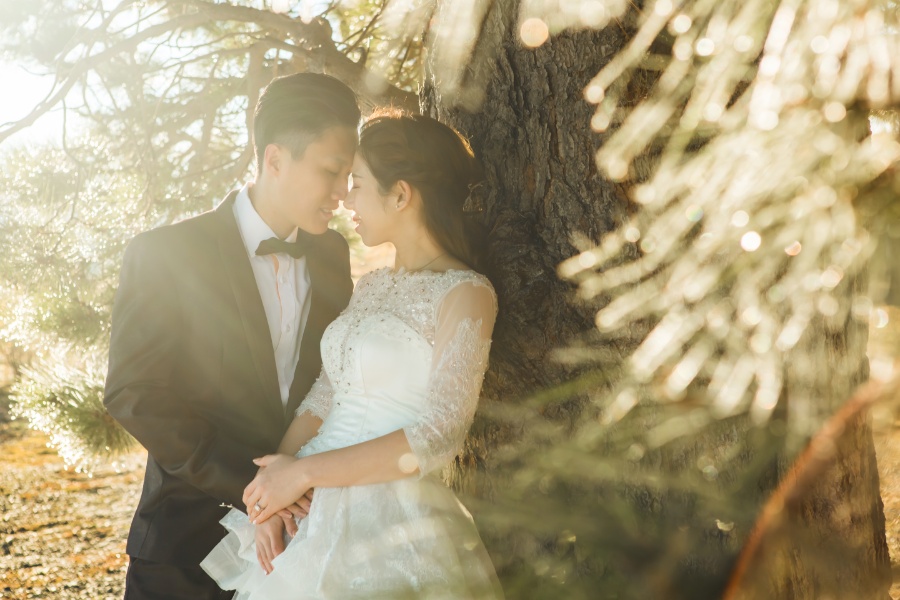 J&R: New Zealand Winter Pre-wedding Photoshoot Under the Stars by Xing on OneThreeOneFour 18