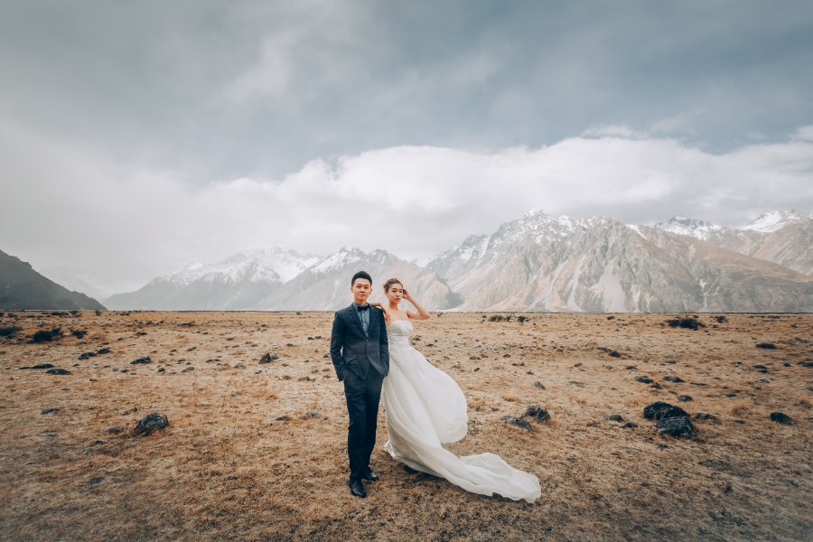 S&D: New Zealand Spring Pre-wedding Photoshoot with Alpacas and Milky Way by Xing on OneThreeOneFour 23