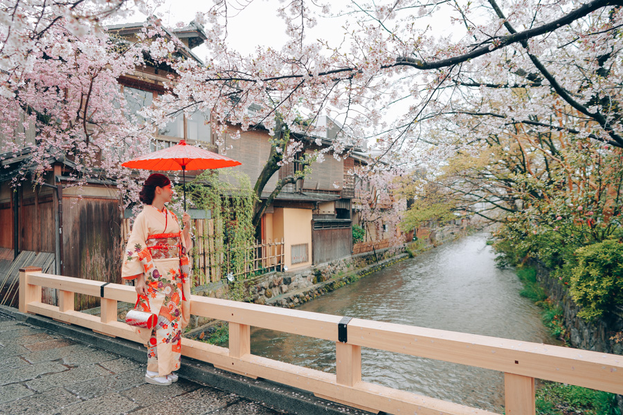 Japan Cherry Blossoms Hanami in Kimono with Nara Deer in Kyoto by Kinosaki on OneThreeOneFour 3