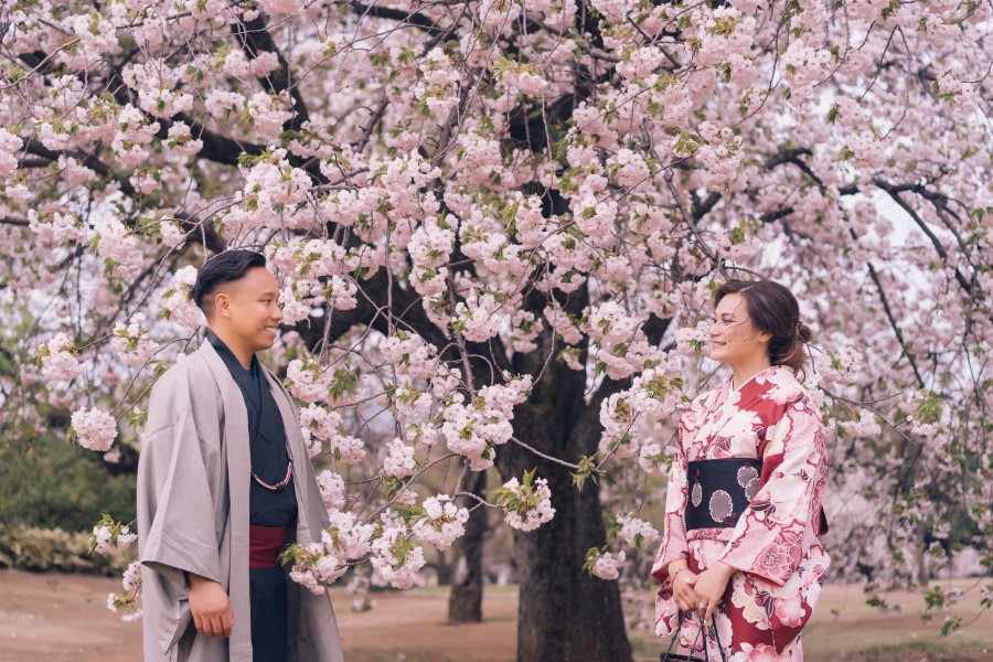 J: Massive cherry blossoms in Tokyo during Malay couple’s pre-wedding by Lenham on OneThreeOneFour 1