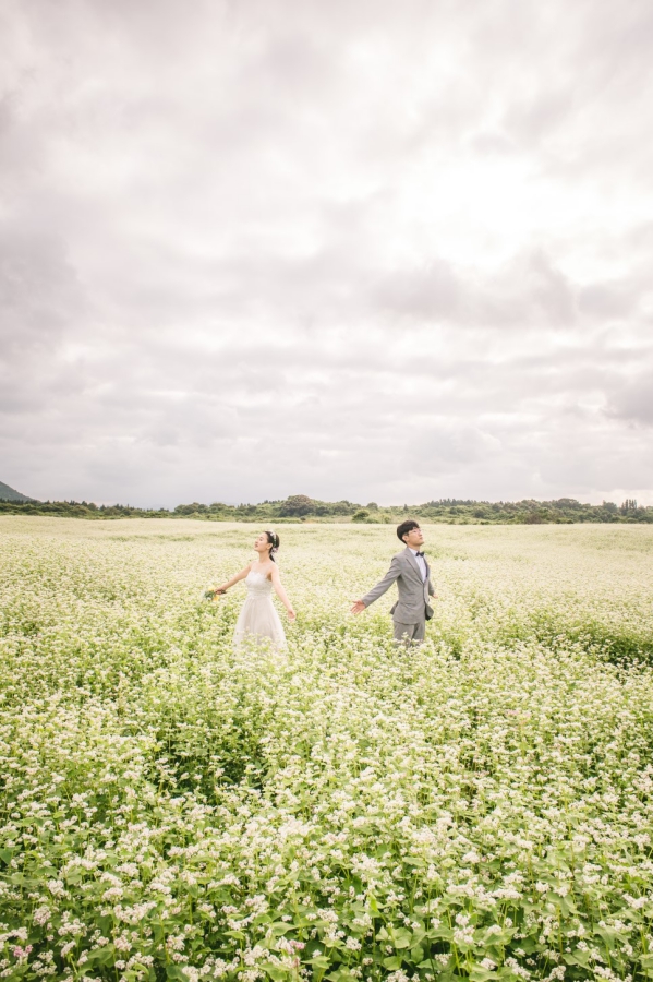 Korea Outdoor Pre-Wedding Photoshoot At Jeju Island with Buckwheat Flower and Hydrangea by Geunjoo on OneThreeOneFour 0