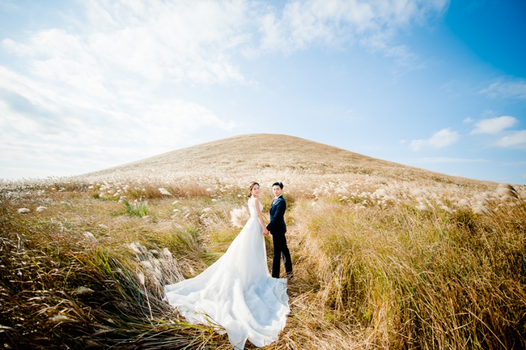 Korea Jeju Island Pre-Wedding Photoshoot With Silver Grass During Autumn  by Ray on OneThreeOneFour 7