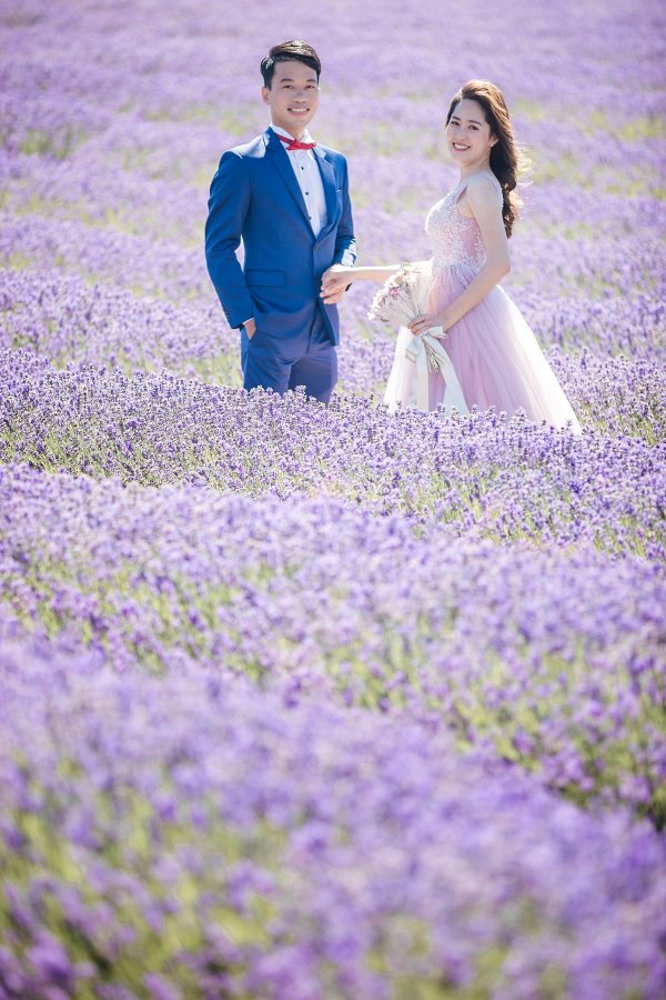 J&T: New Zealand Pre-wedding Photoshoot at Lavender Farm by Fei on OneThreeOneFour 13