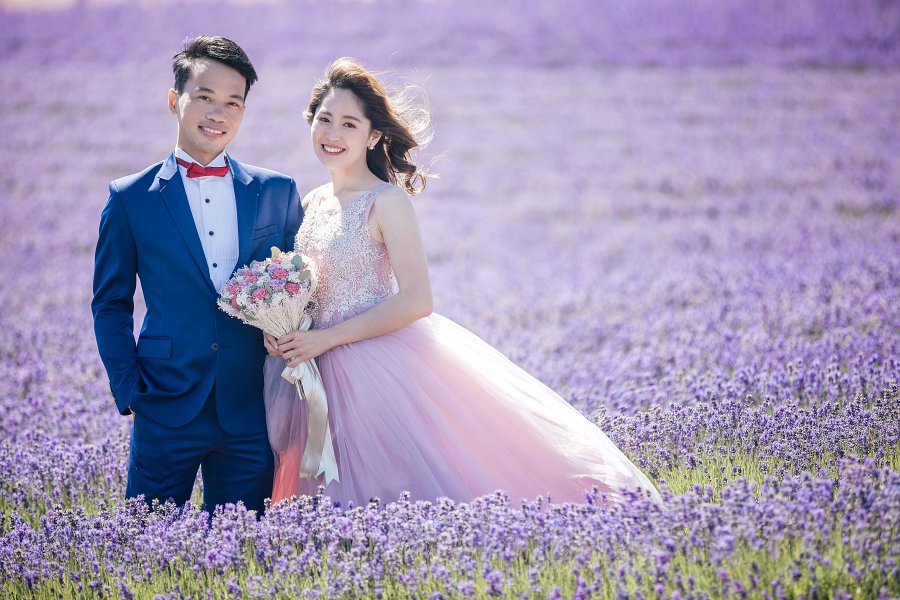 J&T: New Zealand Pre-wedding Photoshoot at Lavender Farm by Fei on OneThreeOneFour 12