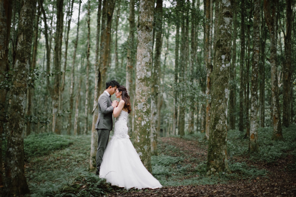峇里島婚紗拍攝 ：Tamblingan湖泊和森林 by Hendra on OneThreeOneFour 23