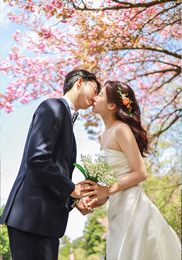 Enchanting Spring Pre-Wedding Photoshoot at Jeju Island