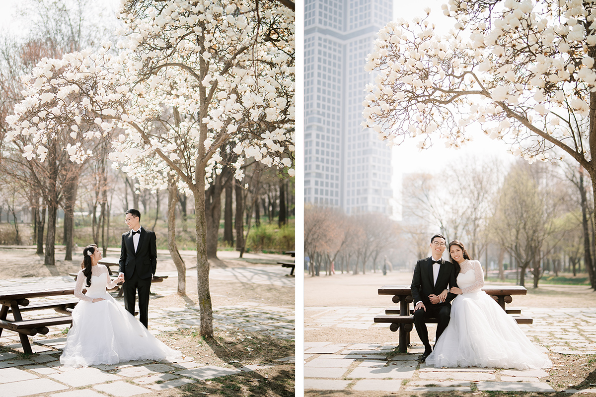 City in Bloom: Romantic Pre-Wedding Photoshoot Amidst Seoul's Blossoming Beauty by Jungyeol on OneThreeOneFour 3