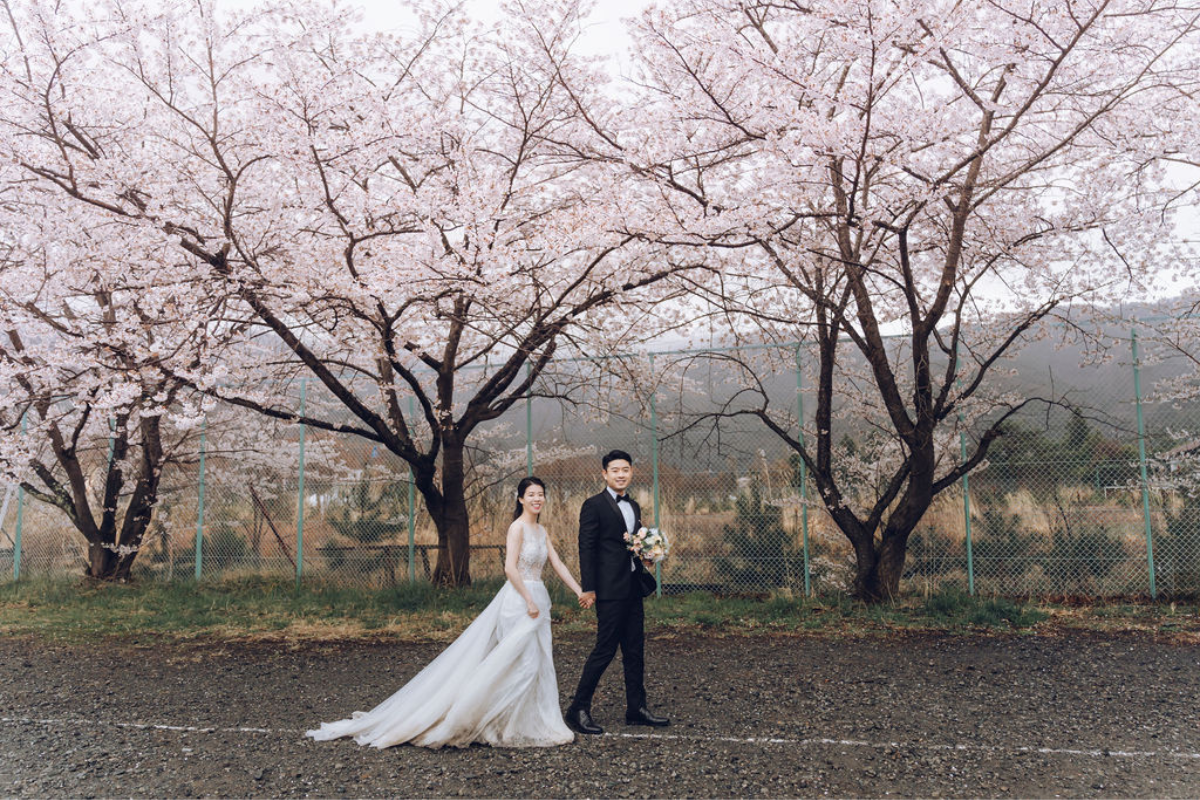 US Couple's Spring Season Kimono & Prewedding Photoshoot At Chureito Pagoda, Lake Kawaguchiko In Tokyo by Cui Cui on OneThreeOneFour 20