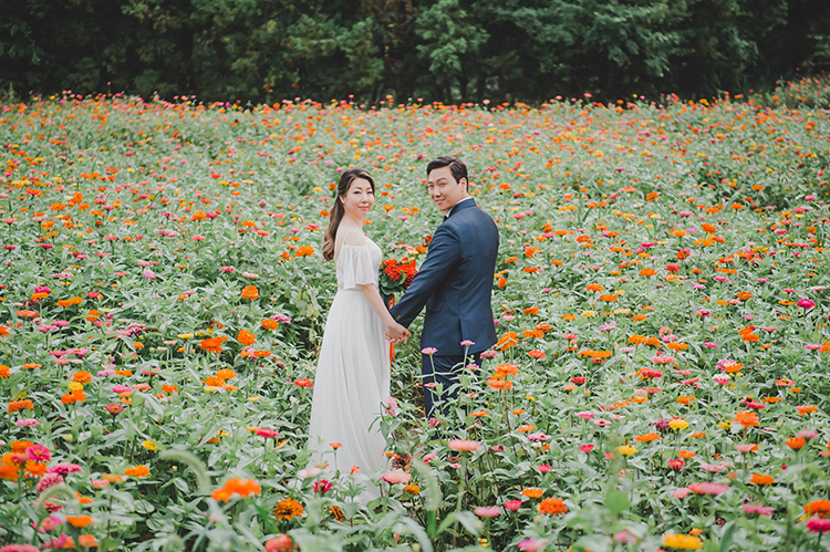 korea jeju island flower field wedding photoshoot