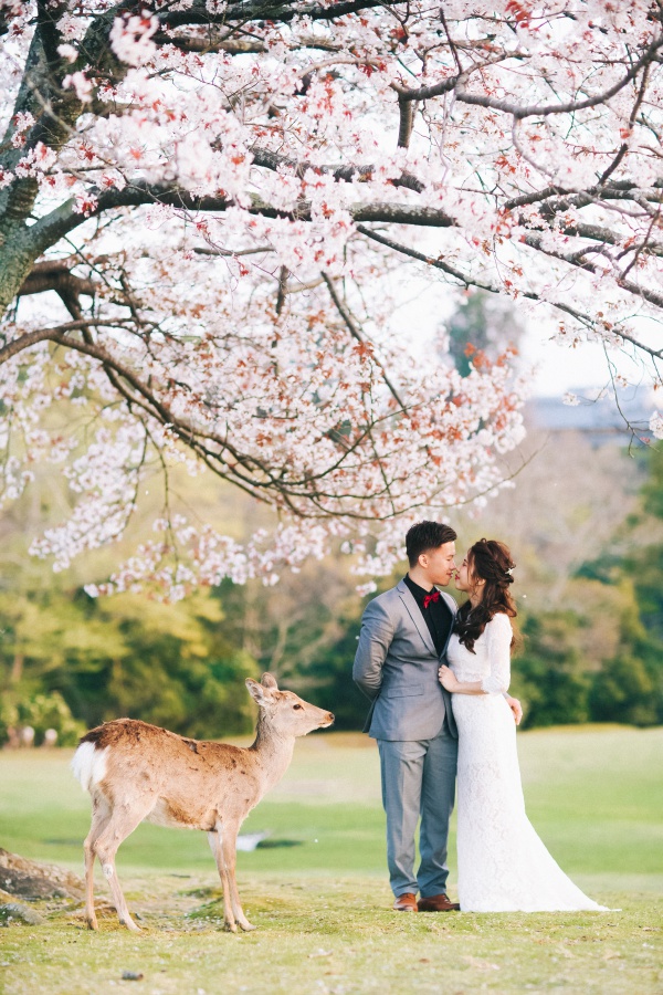 Japan Kyoto Pre-Wedding Photoshoot At Gion District And Nara Deer Park  by Kinosaki  on OneThreeOneFour 19