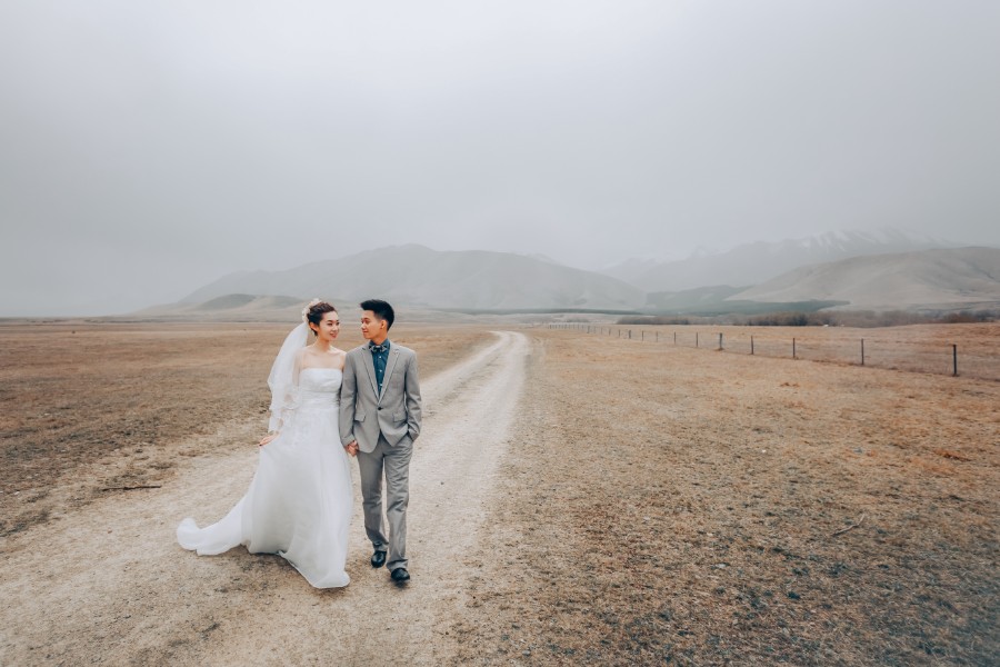 S&D: New Zealand Spring Pre-wedding Photoshoot with Alpacas and Milky Way by Xing on OneThreeOneFour 25