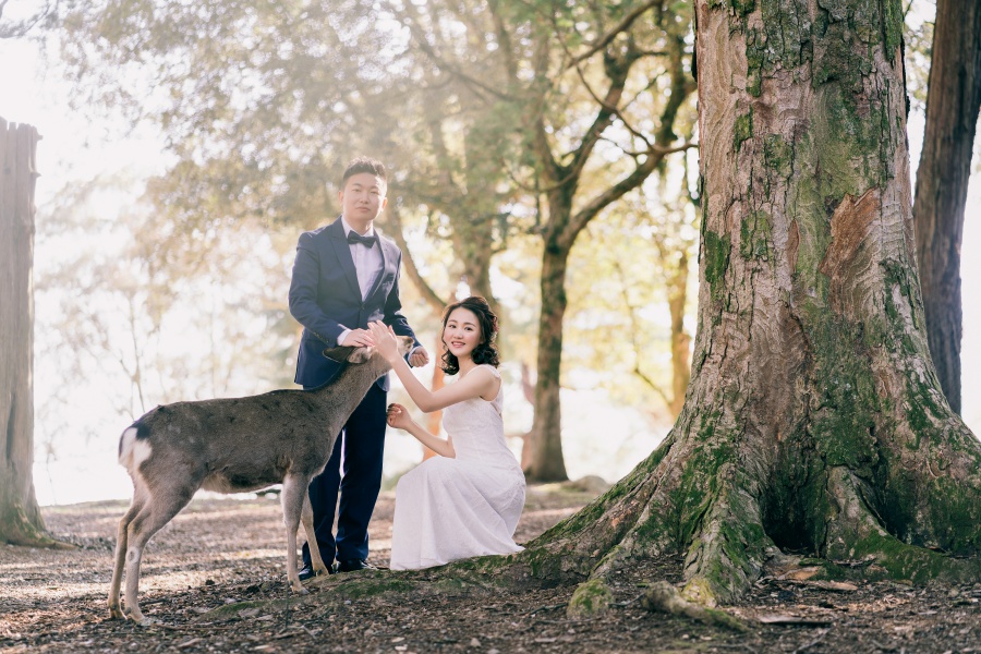 Japan Pre-Wedding Photoshoot At Nara Deer Park  by Jia Xin  on OneThreeOneFour 4