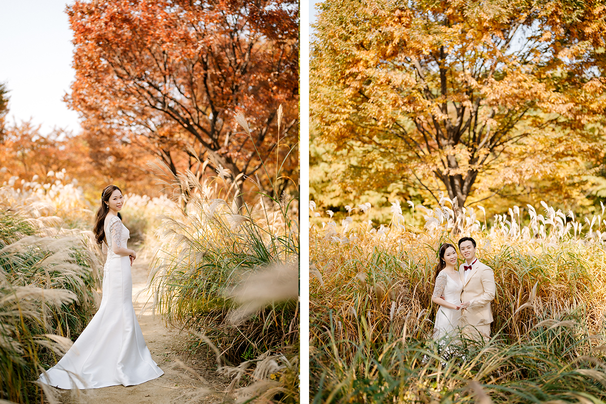 Yellow Autumn Korea Post-Wedding Photoshoot in Seoul Forest & Namsangol Hanok Village by Jungyeol on OneThreeOneFour 7