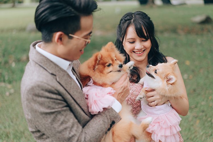 singapore wedding photoshoot bishan park with dogs