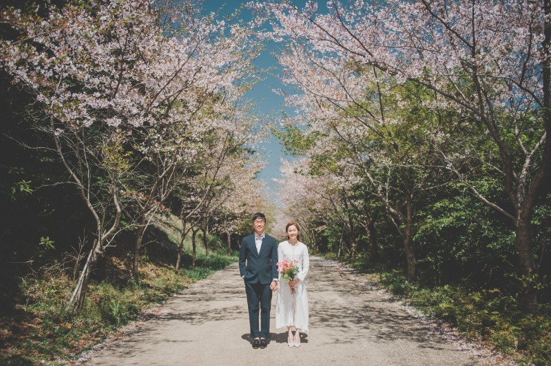 F&C: Singaporean couple's prewedding in Jeju during Spring by Ray on OneThreeOneFour 7
