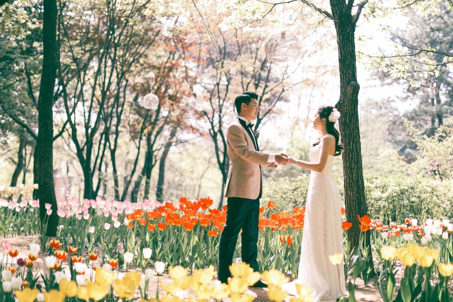V&C: Hongkong Couple's Korea Pre-wedding Photoshoot at Kyung Hee University and Seoul Forest in Tulips Season by Beomsoo on OneThreeOneFour 19