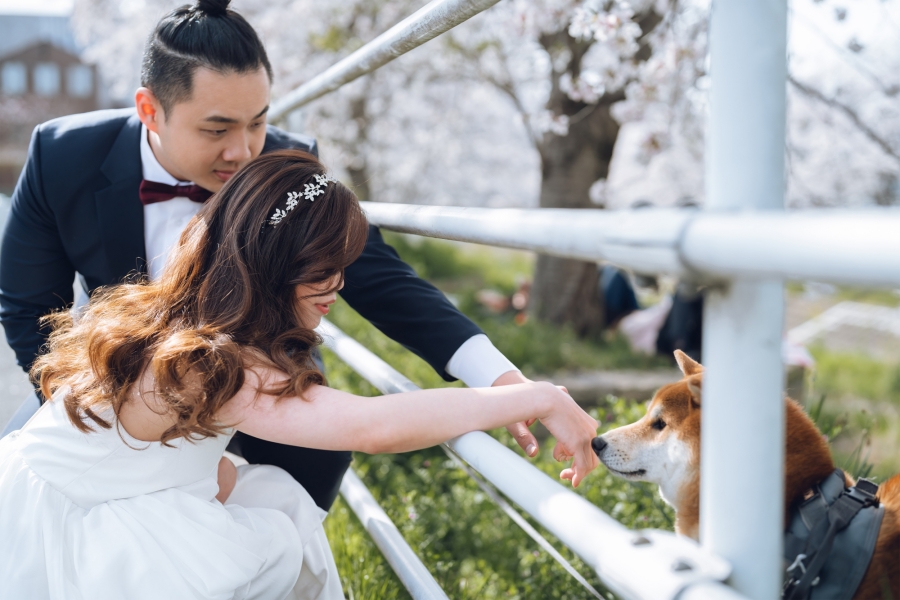 Spring Symphony: Xian Xiong & Samantha's Enchanting Pre-Wedding in Kyoto & Nara by Kinosaki on OneThreeOneFour 7