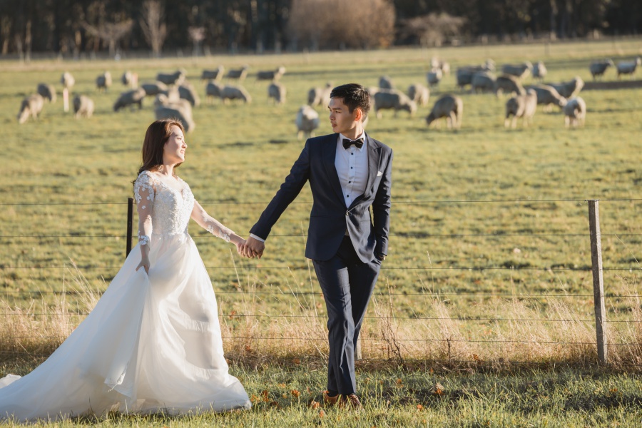 New Zealand Pre-Wedding Photoshoot At Coromandel Peak, Arrowtown And Alpaca Farm by Fei on OneThreeOneFour 22