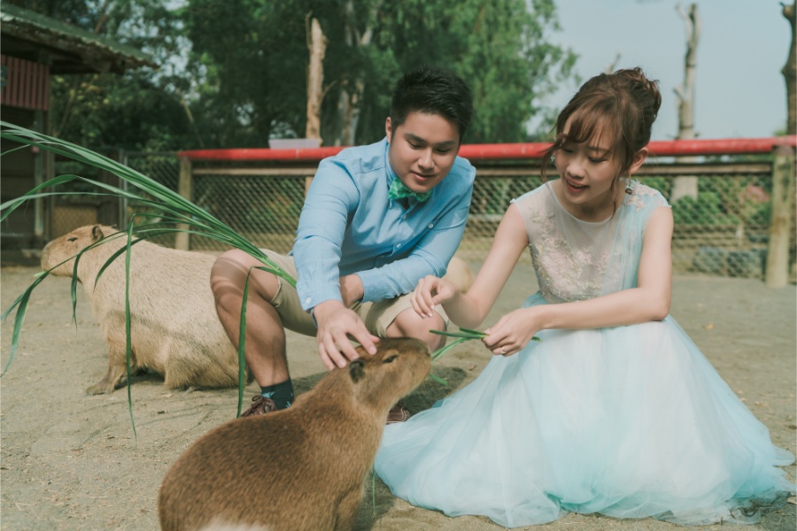 Taiwan Cheng Xi Beach and Tainan Zoo Prewedding Photoshoot by Star on OneThreeOneFour 3