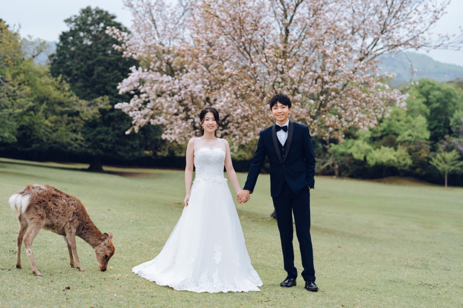 Blooms of Love: Aylsworth & Michele's Kyoto and Nara Spring Engagement by Kinosaki on OneThreeOneFour 15