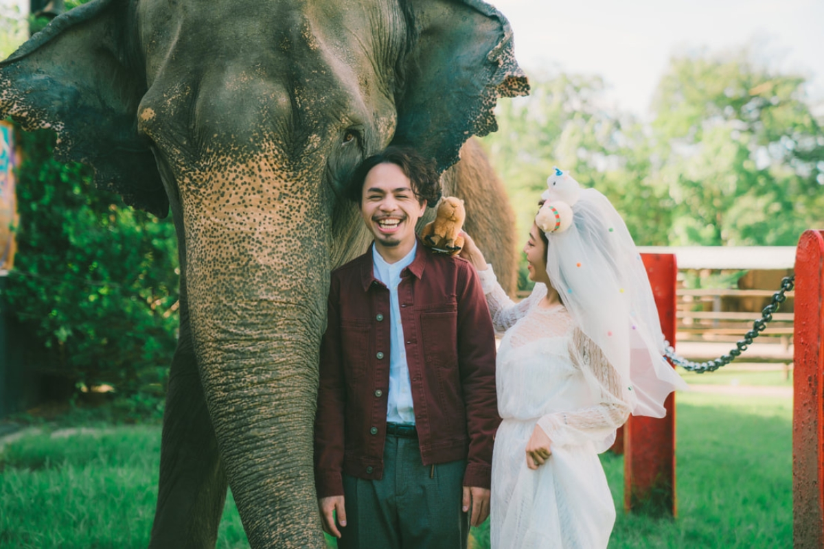 Taiwan Pre-Wedding Photoshoot Zoo Vintage Couple Outfit Streets Retro Vibes by  on OneThreeOneFour 5