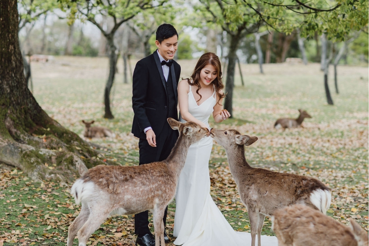 Kyoto Pre-Wedding Photoshoot with Eikando Temple, Mt Wakakusa, and Nara Deer Park by Kinosaki on OneThreeOneFour 25