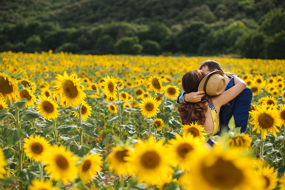 The Perfect Southern France Provence Pre-Wedding Photoshoot with Lavenders & Sunflowers by Vin on OneThreeOneFour 2