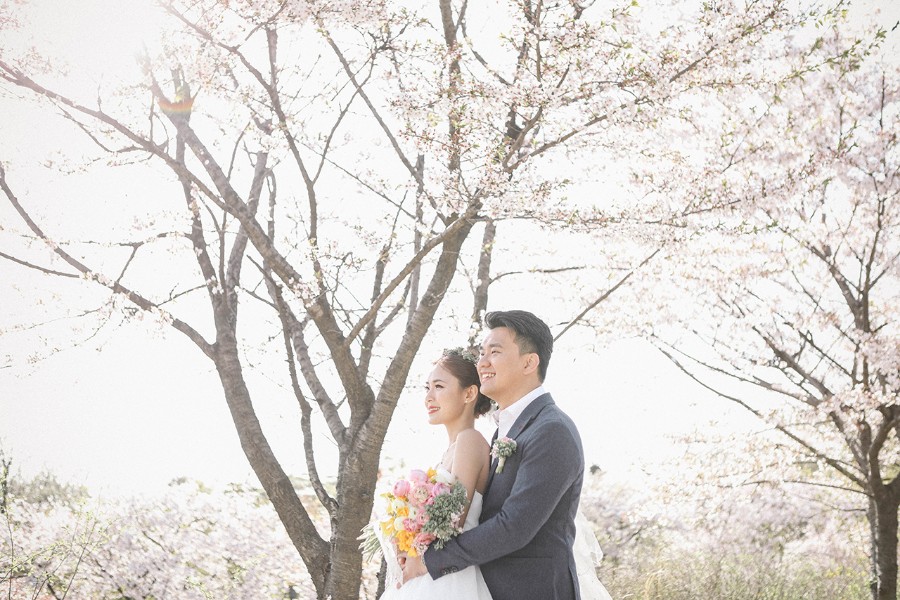 Korea Cherry Blossom Pre-Wedding Photoshoot At Seoul Forest And Kyunghee University  by Beomsoo on OneThreeOneFour 7