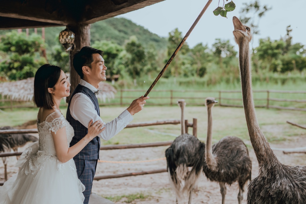 Pre-Wedding Photoshoot In Bangkok At Chinatown And Alpaca Hill Farm  by Por  on OneThreeOneFour 27
