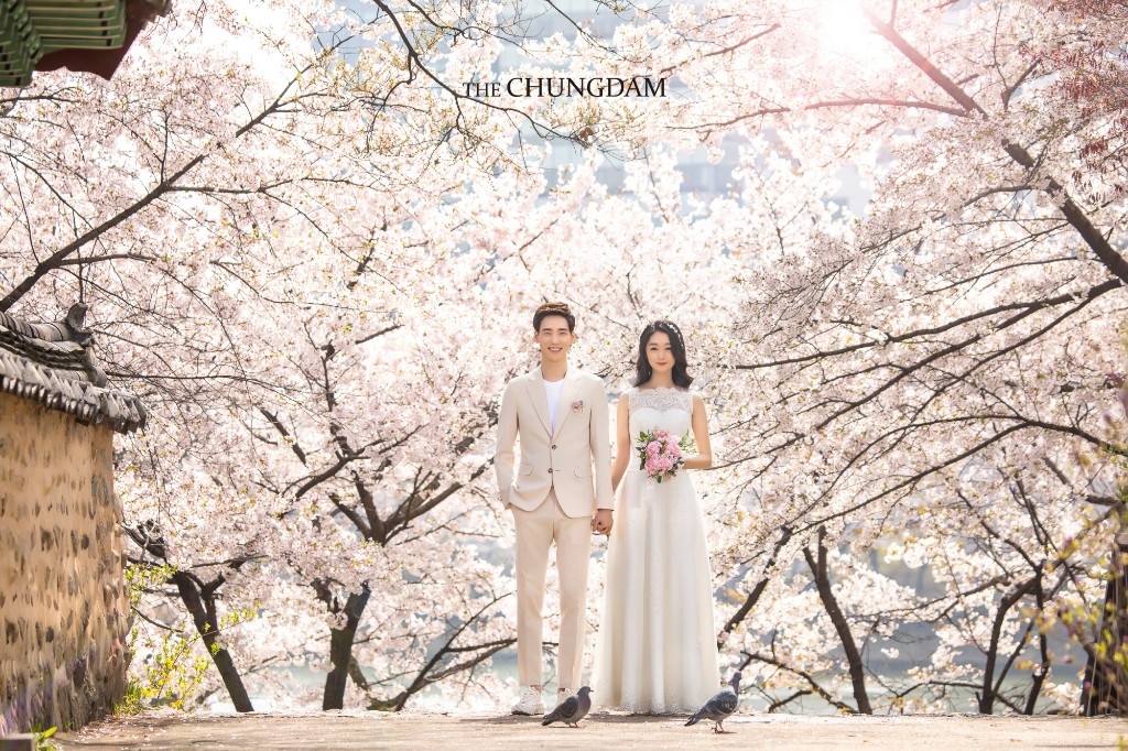 Chungdam Studio Cherry Blossoms Sample - Korean Pre-Wedding Studio by Chungdam Studio on OneThreeOneFour 16