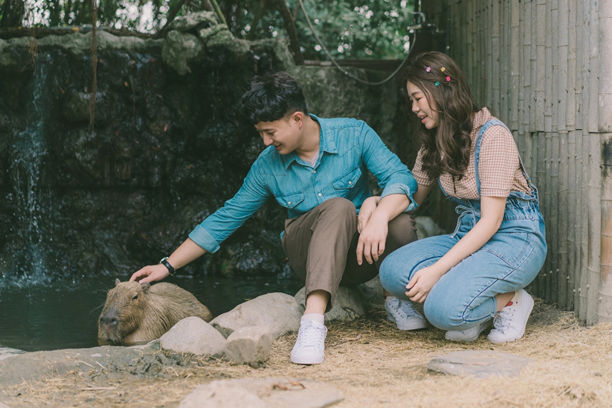 Taiwan Pre-Wedding Photoshoot Pier Blue Skies Animal Farm Flamingos Capybaras Llamas Autumn Leaves by  on OneThreeOneFour 18