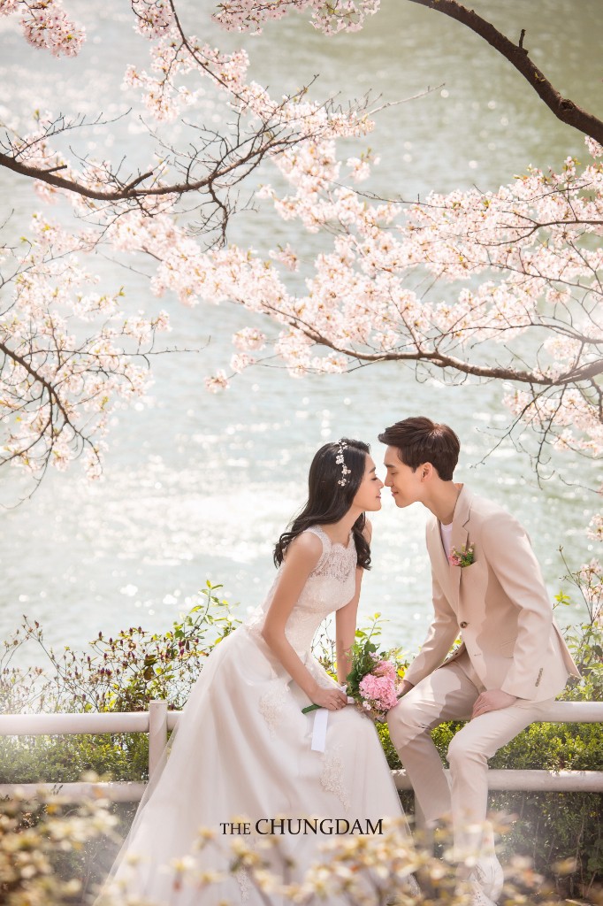 Chungdam Studio Cherry Blossoms Sample - Korean Pre-Wedding Studio by Chungdam Studio on OneThreeOneFour 19