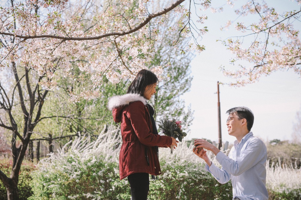 Korea Surprise Wedding Proposal Photographer - Photoshoot At Seonyudo Park  by Beomsoo  on OneThreeOneFour 1