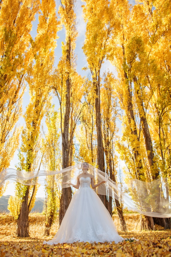 紐西蘭婚紗拍攝 - 科羅曼德爾峰、卡德羅納 by Mike  on OneThreeOneFour 15