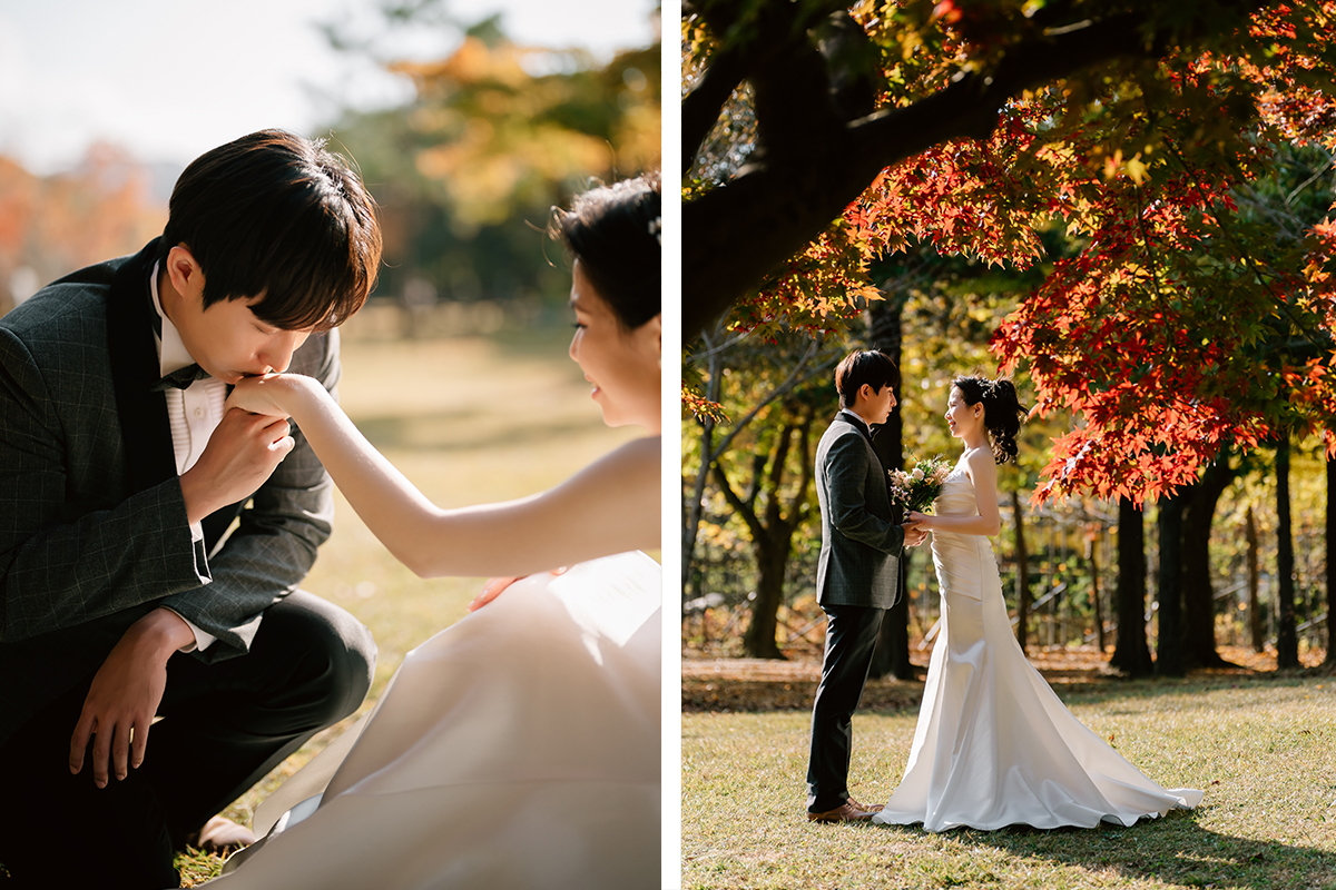 Korea Nami Island Romantic Autumn Pre-Wedding Photoshoot by Jungyeol on OneThreeOneFour 15