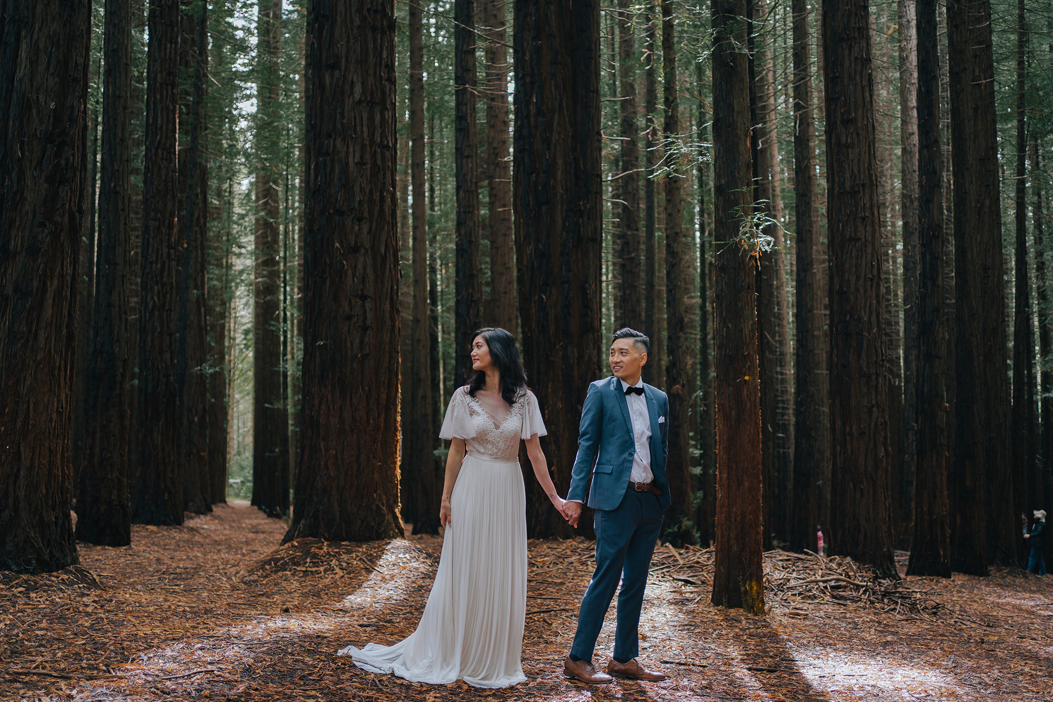 Melbourne Pre-Wedding Photoshoot in Royal Botanical Gardens & Redwood Forest by Freddie on OneThreeOneFour 20