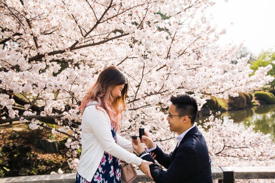 Japan Tokyo Surprise Proposal Photoshoot At Shinjuku Gyoen During Cherry Blossom Season by Koki on OneThreeOneFour 2