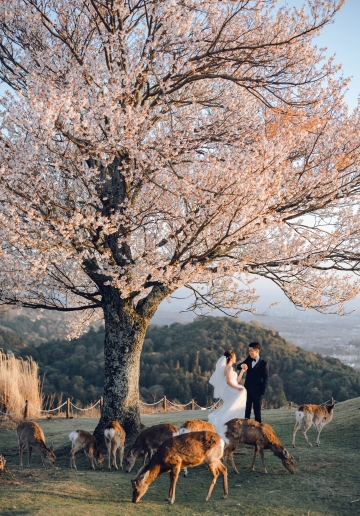 Blossoming Love in Kyoto & Nara: Cherry Blossom Pre-Wedding Photoshoot with Crystal & Sean