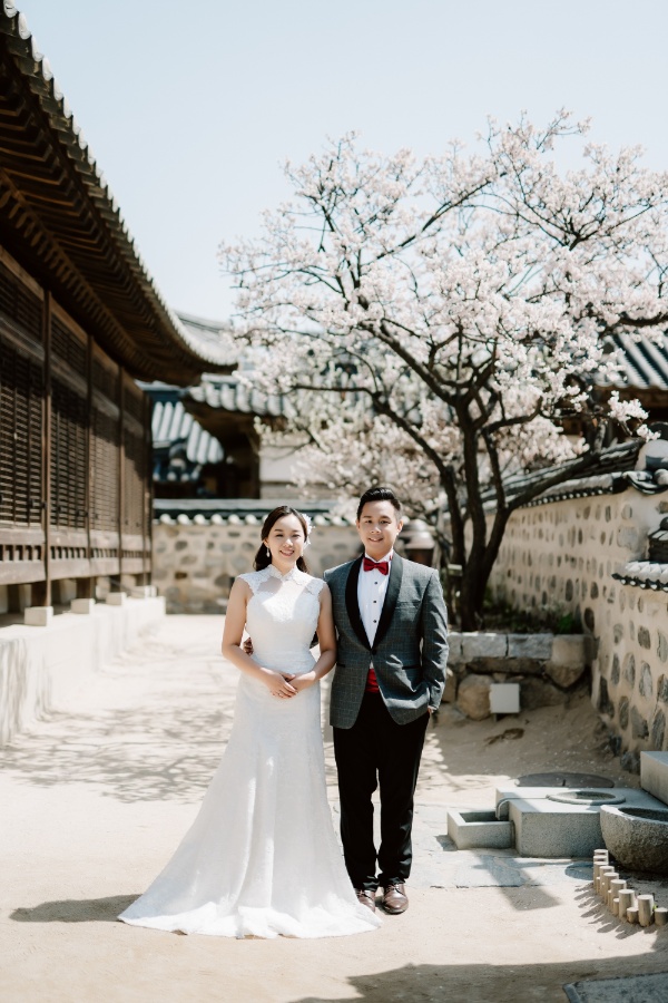T&J: Korea Cherry Blossom Pre-wedding Photoshoot at Namsangol Hanok Village and Seoul Forest by Jungyeol on OneThreeOneFour 13