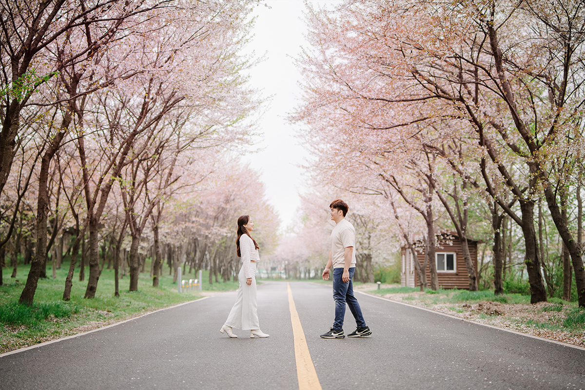 Rainy Romance: Love Blossoms in Seoul: Cally & Shaun's Enchanting Spring Pre-Wedding Shoot by Jungyeol on OneThreeOneFour 8