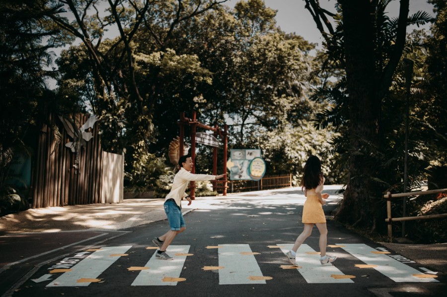 A & L - Singapore Pre-Wedding at Jurong Bird Park & Colonial Houses at Wessex Estate by Chan on OneThreeOneFour 14