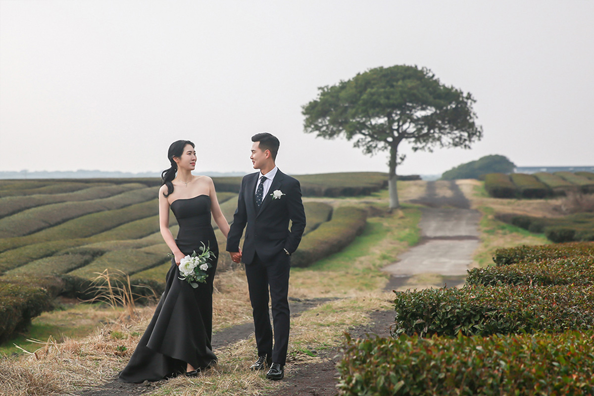 Captivating Moments: Pre-Wedding Photoshoot at Jeju Island's Isidore Farm, Famous Lone Tree, and Enchanting Beach by Byunghyun on OneThreeOneFour 4